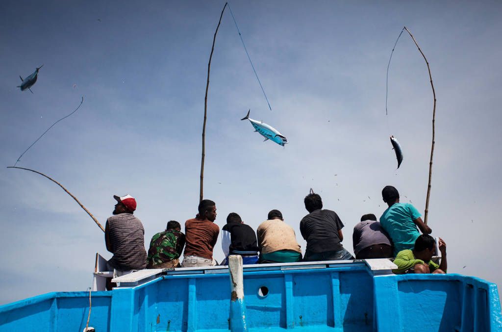 3 Fakta Desa Tomalou Tidore, Kampung Nelayan yang Punya Teknik Mancing Huhate