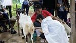 Potret Nglanggeran, Desa Wisata yang Sabet Penghargaan dari UNWTO