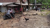 Salah seorang warga yang akhirnya terkena imbas dari pemblokiran jalan itu yakni Eman. Ia yang tinggal tepat di depan pembangunan rumah itu pun terpaksa membuka lahan miliknya untuk dibuat jalan sementara.