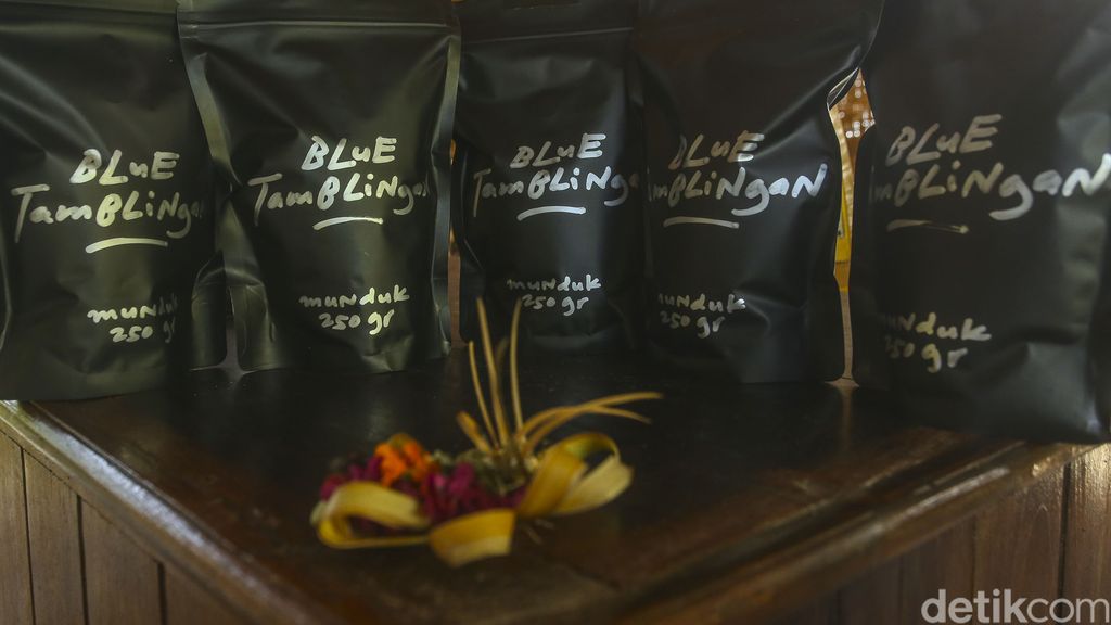 Kopi Blue Tamblingan di Desa Munduk