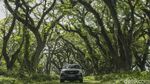 Seberapa Tangguh Mobil Wuling? Ini Buktinya