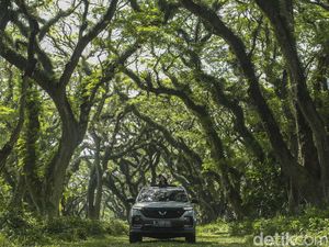 Skema Cicilan Wuling Almaz, Per Bulan Rp 6 Jutaan