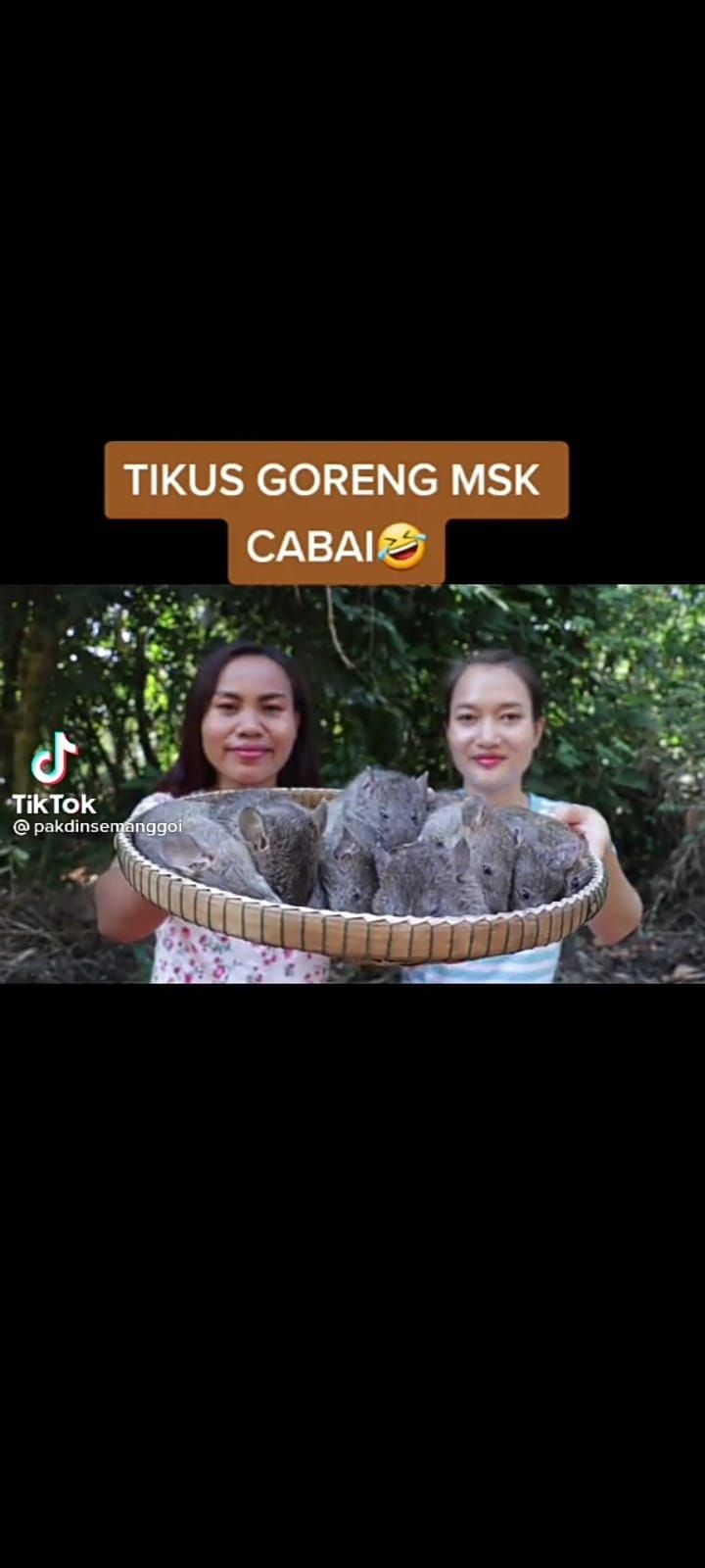 Ekstrem! TikToker Vietnam Ini Masak Tikus Goreng Cabai