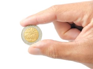 Harga Koin Rp 1.000 Kelapa Sawit Tembus Rp 100 Juta!