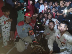 Ngeri! Buaya 3,5 Meter Muncul di Permukiman Padat Penduduk di Samarinda