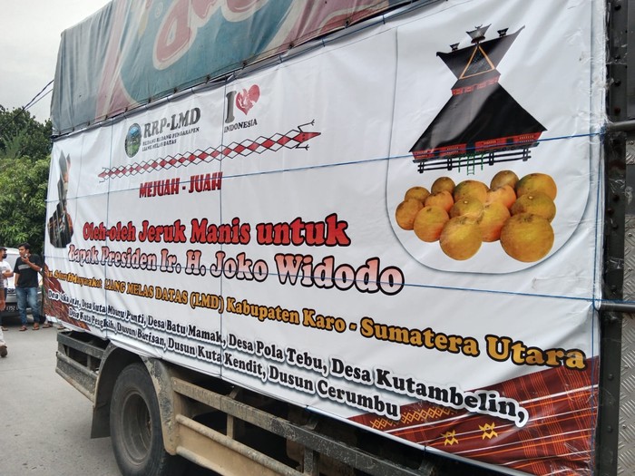 Warga dari Karo mengirim jeruk 1 truk ke Presiden Jokowi  (Ahmad Arfah-detikcom)