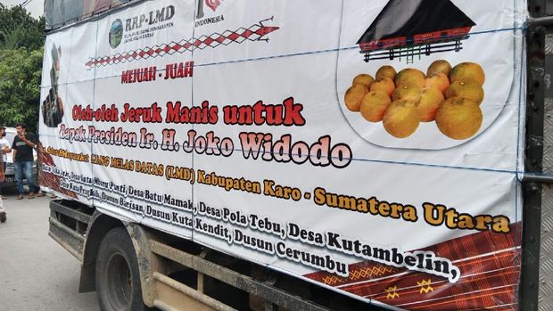 Warga dari Karo mengirim jeruk 1 truk ke Presiden Jokowi  (Ahmad Arfah-detikcom)