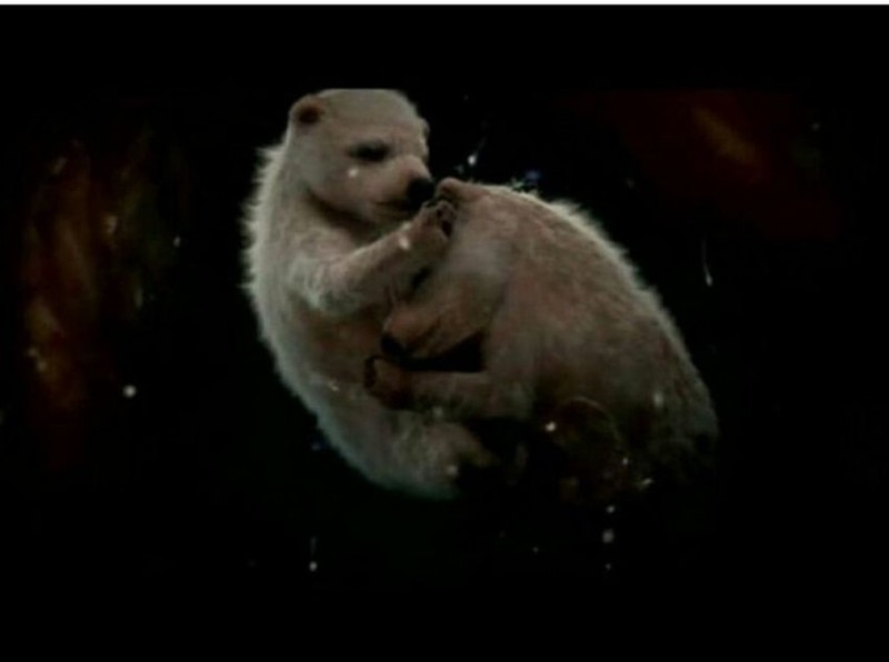 fotoinet penampakan hewan dalam rahim