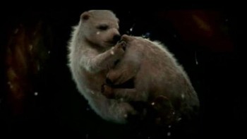 Bayi Beruang Kutub (Foto: National Geographic)