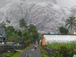 BPBD Jatim Sebut Semeru Bukan Erupsi tapi Awan Panas Guguran