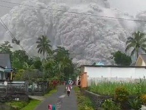 BNPB Imbau Warga Terdampak Erupsi Gunung Semeru Tenang-Tak Termakan Hoax