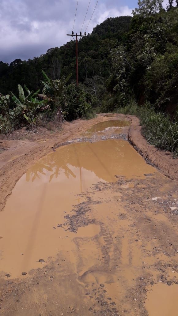 Jalan rusak di Karo yang bikin warga kirim jeruk 1 truk ke Jokowi