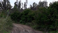 Dia mengatakan jalan di Liang Melas Datas sudah lama rusak. Menurutnya, jalan yang rusak itu terdapat di enam desa dan tiga dusun. (Foto: dok. Istimewa)
