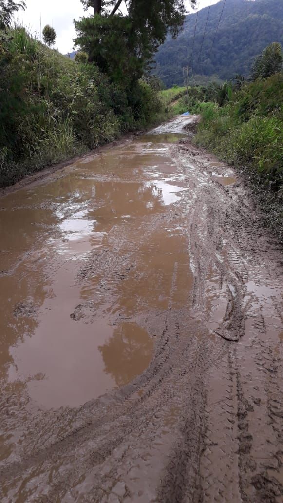 Jalan rusak di Karo yang bikin warga kirim jeruk 1 truk ke Jokowi
