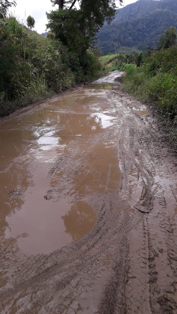 Jalan rusak di Karo yang bikin warga kirim jeruk 1 truk ke Jokowi Jalan rusak di Karo yang bikin warga kirim jeruk 1 truk ke Jokowi
