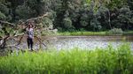 Jelajah Danau Belibis di Kaki Gunung Kerinci