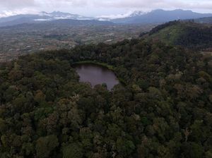 Kesaksian Fotografer Lihat Orang Pendek Misterius di Sumatra