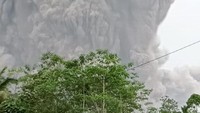 Sebelumnya, letusan Gunung Semeru terlihat dari kawasan Oro Oro Ombo, Pronojiwo, Kabupaten Lumajang, Jawa Timur. Gunung Semeru meletus dan mengeluarkan awan panas yang mengakibatkan hujan abu di Kabupaten Lumajang dan Malang. ANTARA FOTO/Humas BNPB. 