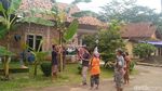 Lihat Lebih Dekat Pohon Pisang Bertandan-Berjantung 4 di Pekalongan