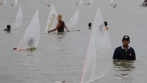 Unik Banget! Ada Lomba Perahu Mini Lho di Surabaya