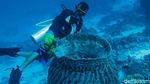 Menyelami Keindahan Bawah Laut Wakatobi