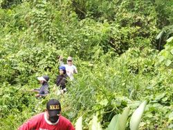 Bocah Samarinda Sudah 20 Hari Hilang Misterius di Lokasi Tukang Bakso