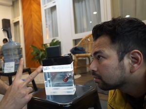 9 Seleb Indonesia Ini Hobi Pelihara Cupang, Raffi Ahmad Habiskan Puluhan Juta!