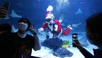 Sambut Natal, Sinterklas Berenang Bareng Ribuan Ikan di Korsel