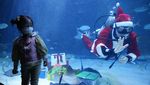 Sambut Natal, Sinterklas Berenang Bareng Ribuan Ikan di Korsel