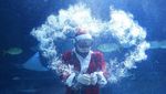Sambut Natal, Sinterklas Berenang Bareng Ribuan Ikan di Korsel