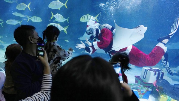 Pertunjukkan itu menarik perhatian banyak pengunjung yang datang ke Coex Aquarium.  