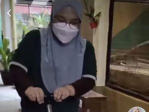 Viral Wanita Bawa Stroller Bayi Tapi Isinya Ular Sawah, Ini Kisah di Baliknya