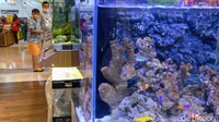 Pameran ikan hias ini sekaligus ajang cuci mata bagi pengunjung mal.