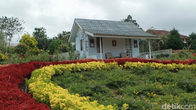 Foto: Camp Hulu Cai, Tempat Staycation Asyik di Bogor
