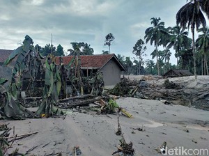 Doa dan Aksi Deretan Selebriti Turut Berduka Gunung Semeru Erupsi