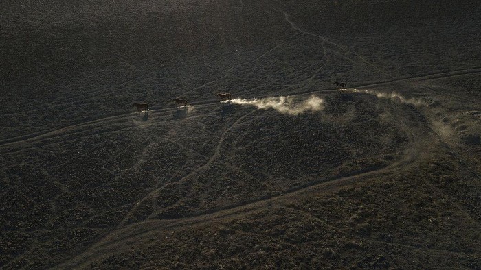 Kondisi Danau Aculeo di Chile tampak memprihatinkan. Pasalnya danau itu dilanda kekeringan selama bertahun-tahun. Ini potretnya.