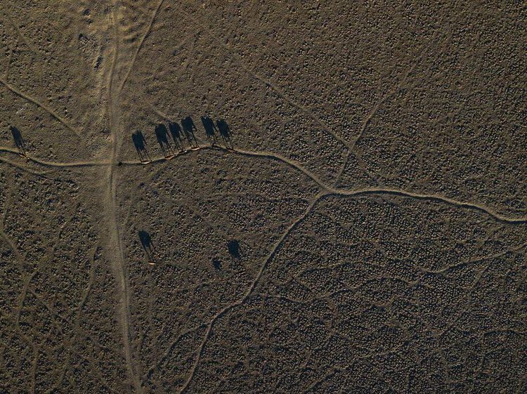 Nasib Pahit Danau Acuelo yang Dibunuh Pelan-pelan oleh Warganya