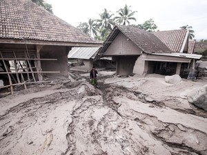 BNPB: 5.205 Orang Terdampak Erupsi Semeru, 1.300 di Antaranya Mengungsi