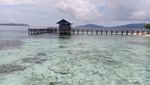 Jalan-Jalan ke Kampung Wisata Arborek, Jaga Terumbu Karangnya ya!