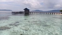 snorkling dianjurkan tapi jangan menginjak coral reefs