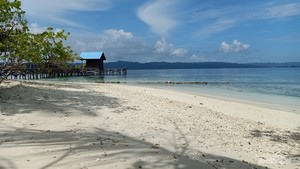 Jalan-Jalan ke Kampung Wisata Arborek, Jaga Terumbu Karangnya ya!