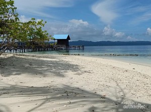 Jalan-Jalan ke Kampung Wisata Arborek, Jaga Terumbu Karangnya ya!