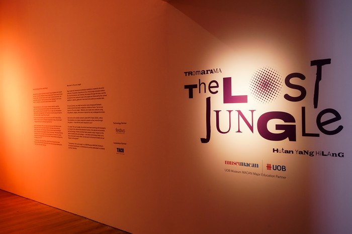 Main-main di 'Hutan yang Hilang' Museum MACAN