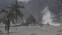 Pencarian dan evakuasi korban erupsi Semeru salah satunya difokuskan di kawasan Desa Sumber Wuluh, Lumajang.