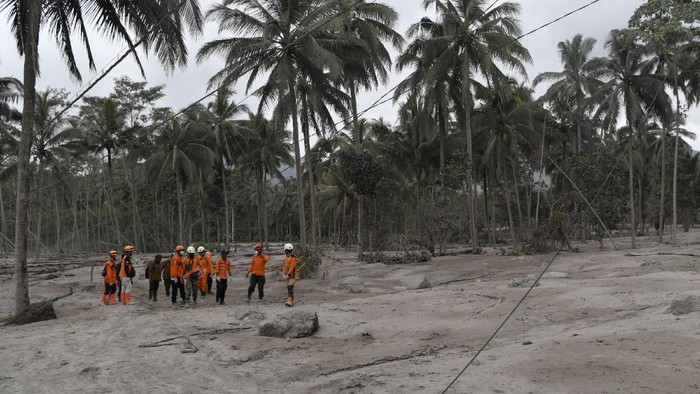 Tim SAR gabungan dikerahkan untuk cari dan evakuasi korban erupsi Gunung Semeru. Lokasi pencarian korban salah satunya dilakukan di Desa Sumber Wuluh, Lumajang.