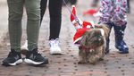 Ragam Kostum Anjing yang Bikin Gemas di Parade AS