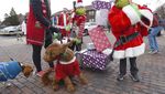 Ragam Kostum Anjing yang Bikin Gemas di Parade AS
