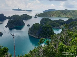 Geotagging Diyakini Permudah Turis Tonton Paus Biru