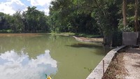 Telaga yang berada di dalam kawasan hutan Bunder ini menawarkan suasana asri nan sunyi yang cocok buat traveler yang mau menyepi dari hiruk pikuk perkotaan. Suasana di Telaga Kemuning terbilang masih sangat asri dengan rimbunnya pepohonan di sekitar telaga membuat pengunjung betah berlama-lama di sana.