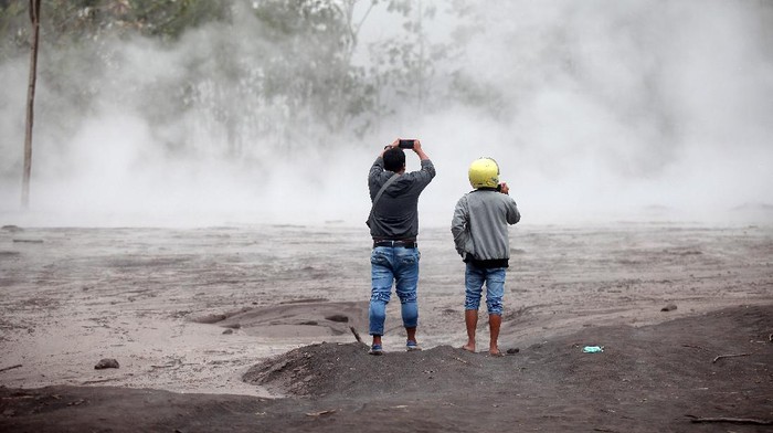 Warga Evakuasi Hewan Ternak dari Lokasi Terdampak Erupsi Semeru Sejumlah warga mengevakuasi hewan ternak dari lokasi terdampak erupsi Gunung Semeru. Hewan-hewan itu pun dibawa ke tempat yang lebih aman.